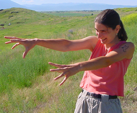 Stella Zaps Fanboys, 2005